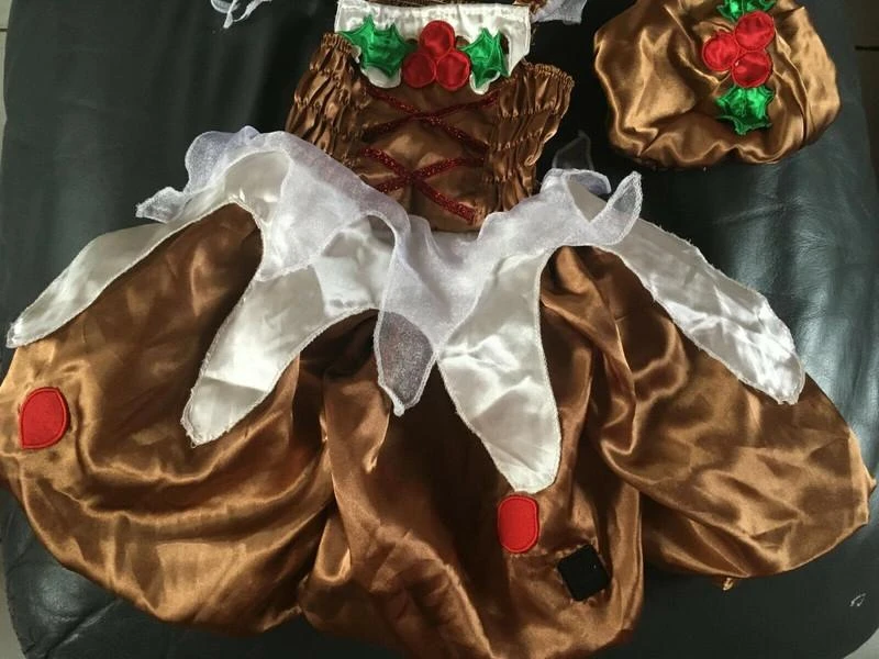 Rare and fantastic Pudding baby Christmas dress size 18 months / 2 years New Id – photo 4